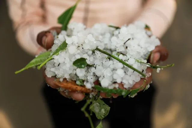 A man holds hailstones in his hands on the side of a street after heavy rains and hailstorm in New Delhi, India, March 14, 2020. (Photo by Anushree Fadnavis/Reuters)