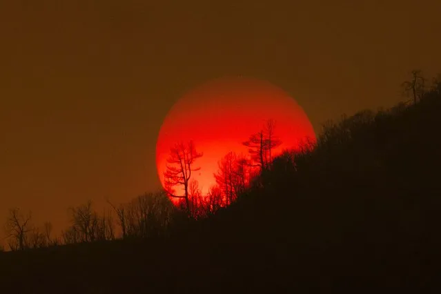The sun sinks behind a smoky sky and burned forest at the Oak Fire on near Mariposa, California, on July 24, 2022. The fierce California wildfire expanded early Sunday burning several thousand acres and forcing evacuations, as tens of millions of Americans sweltered through scorching heat with already record-setting temperatures due to climb even further. More than 2,000 firefighters backed by 17 helicopters have been deployed against the Oak Fire, which broke out Friday near Yosemite National Park, the California Department of Forestry and Fire Protection (CAL FIRE) said in a report. (Photo by David McNew/AFP Photo)