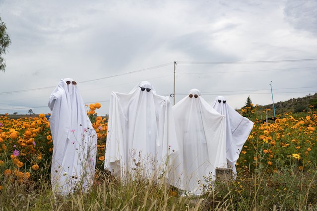 People dressed as ghosts prepare for the Day of the Dead festival in Tlaxcala, Mexico on October 19, 2023. (Photo by Essene Hernandez/Eyepix Group/Rex Features/Shutterstock)