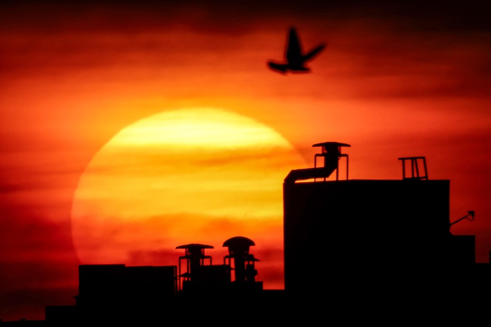 Some Photos: Silhouettes