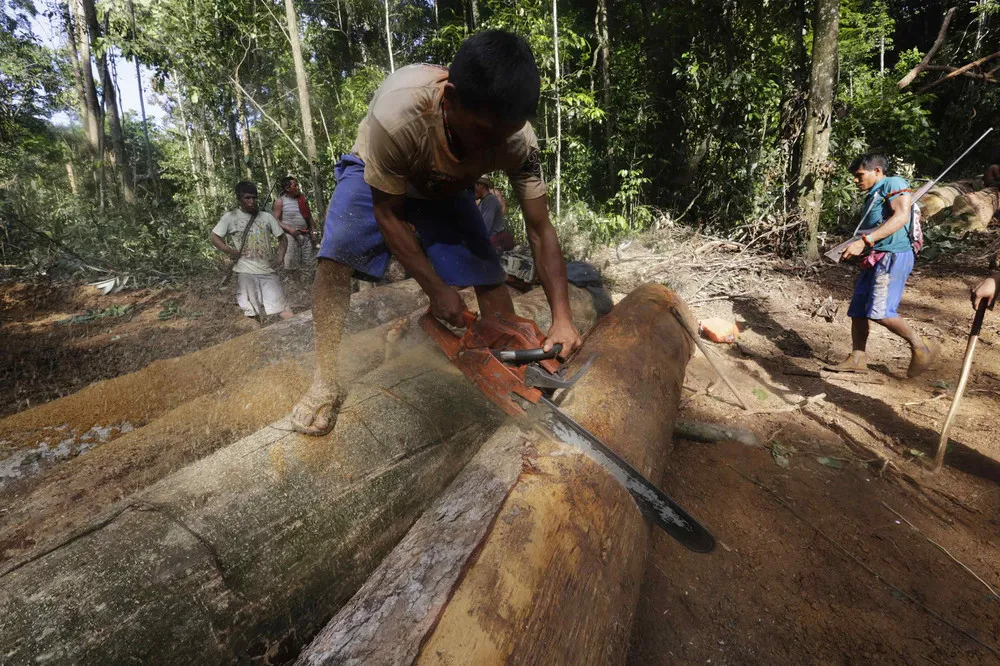 Amazonian Warriors – at War for the Trees