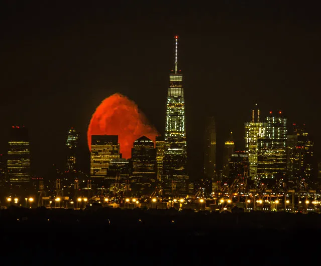 An incredible moon rise behind the World Trade Center, Manhattan, New York on August 23, 2016. The breath-taking photo was taken by photographer Jennifer Khordi. She said: it was just absolutely amazing to see this. (Photo by Jennifer Khordi/Caters News Agency)