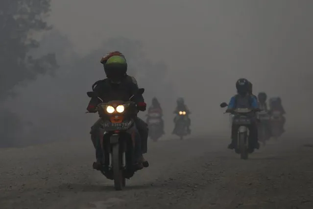 People ride their motorcycles as haze shrouds a street near Bagan Siapi-Api port, on the Indonesian island of Sumatra, September 19, 2015. (Photo by Reuters/Beawiharta)