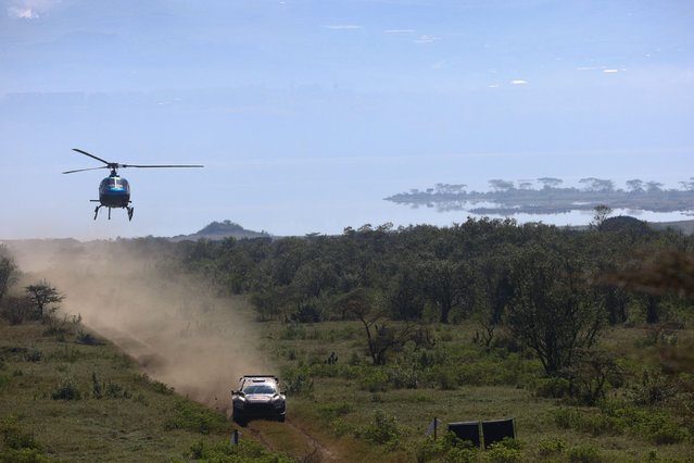 Gregoire Munster of Belgium drives his FORD Puma Rally1 during the day 3 of Rally Safari 2025, Naivasha, Kenya, 22 March 2025. (Photo by Jakub Pojimicz/EPA)