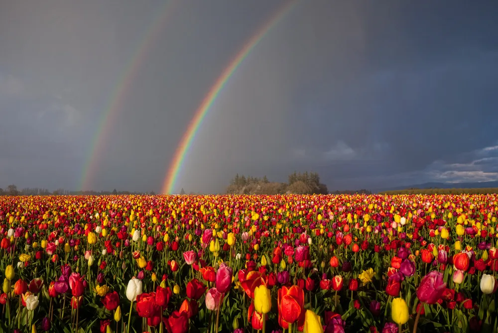 Landscapes by Jesse Estes