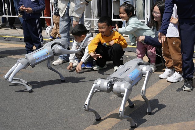 Children react to four legged robots performing before the award ceremony of the Humanoid Robot Half-Marathon held in Beijing on Saturday, April 19, 2025. (Photo by Ng Han Guan/AP Photo)