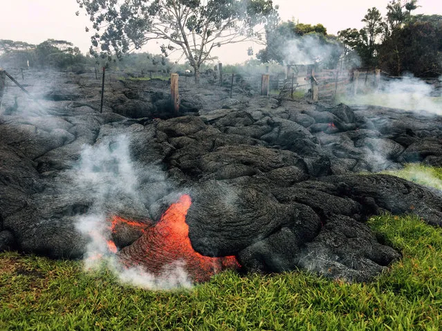 This October 26, 2014 photo provided by the U.S. Geological Survey shows the lava flow front of from an eruption that began the June 27, as the front remains active and continues to advance towards the northeast threatening the town of Pahoa on the Big Island of Hawaii. (Photo by AP Photo/U.S. Geological Survey)