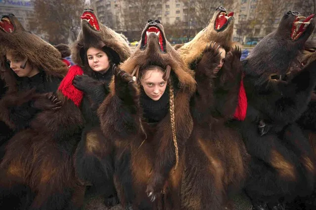 Performers wearing bear fur costumes take a break before a parade of winter traditions in Bucharest, Romania, Sunday, December 18, 2022. In pre-Christian rural traditions, dancers wearing colored costumes or animal furs, toured from house to house in villages singing and dancing to ward off evil. (Photo by Andreea Alexandru/AP Photo)