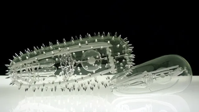 Luke Jerram’s Glass Microbiology Sculptures