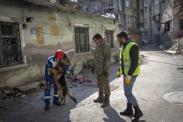 Mehmet Gurkan, a member of the Turkish animal rights group HAYTAP, pets a dog after rescuing it from a building affected by the earthquake in Antakya, southeastern Turkey, on Sunday, February 12, 2023. The German shepherd was rescued after being trapped for seven days inside the building. (Photo by Bernat Armangue/AP Photo)