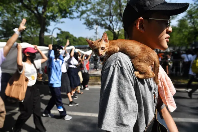 A cat sits on the shoulder of a pro-democracy protester taking part in an anti-government rally in Bangkok on November 14, 2020. (Photo by Lillian Suwanrumpha/AFP Photo)