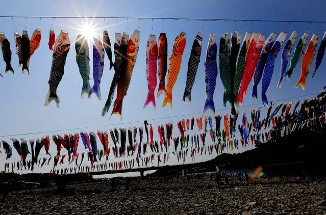 Colorful carp streamers flutter in the air over the Sagami River in Sagamihara, west of Tokyo, ahead of the Children's Day national holiday on Sunday, on May 4, 2013. It is a national tradition in Japan to fly carp streamers on Children's Day. (Photo by Itsuo Inouye/Associated Press)