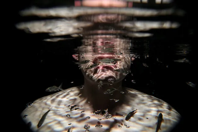 Garra rufa obtusas, also known as “doctor fish”, swim around the face of a man as he relaxes in a hot spa pool in Kangal, south of the central Anatolian city of Sivas, Turkey, March 27, 2018. (Photo by Umit Bektas/Reuters)