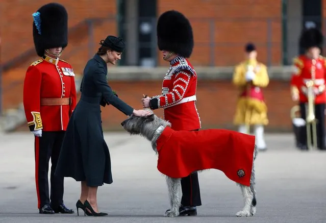 Catherine, Duchess of Cambridge, pets the Irish Guards mascot Turlough Mor, during the St Patrick's Day Parade in Aldershot, Britain on March 17, 2022. (Photo by Hannah McKay/Reuters)