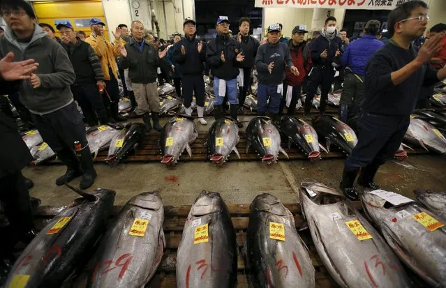 Wholesalers claps their hands before the New Year's auction for fresh tuna at the Tsukiji fish market  in Tokyo, Japan, January 5, 2016. (Photo by Toru Hanai/Reuters)