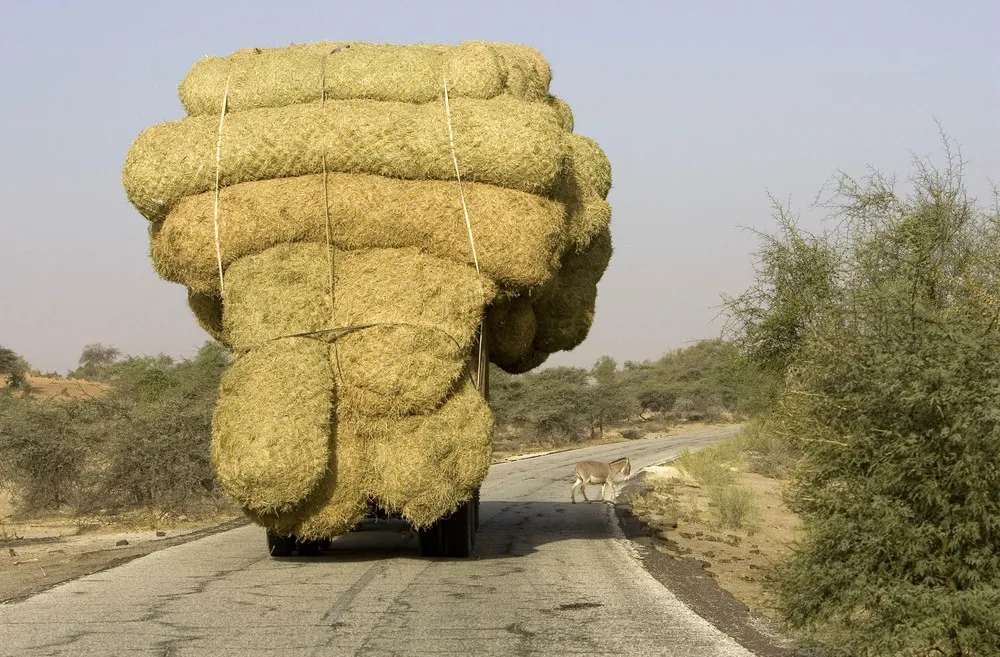 Overloaded Transport
