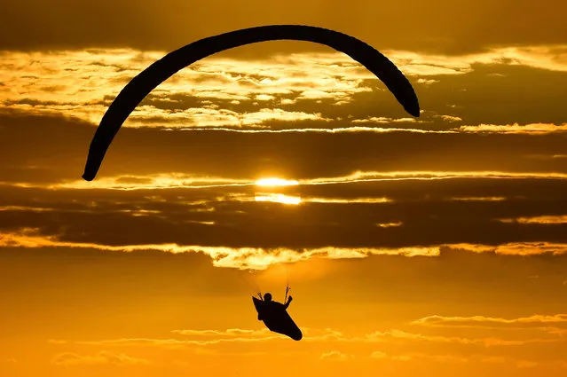 A member of Dunstable paragliding club in flight in Dunstable, UK on August 8, 2016. (Photo by Tony Margiocchi/Barcroft Images)