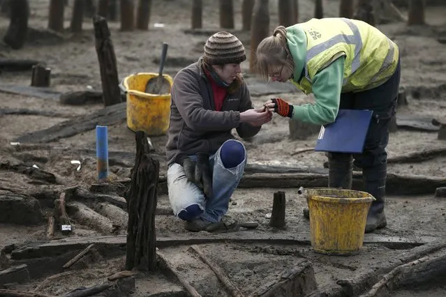 Archaeologists from the University of Cambridge Archaeological Unit, uncover Bronze Age wooden houses, preserved in silt, from a quarry near Peterborough, Britain, January 12, 2016. (Photo by Peter Nicholls/Reuters)