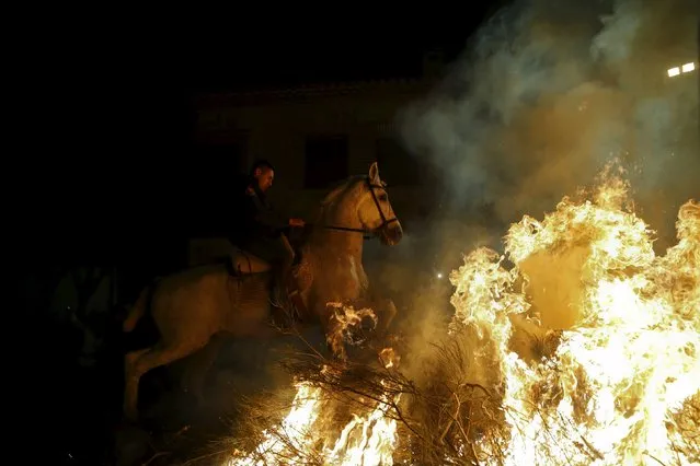 A man rides a horse through the flames during the “Luminarias” annual religious celebration on the eve of Saint Anthony's day, Spain's patron saint of animals, in the village of San Bartolome de Pinares, northwest of Madrid, Spain, January 16, 2016. (Photo by Susana Vera/Reuters)