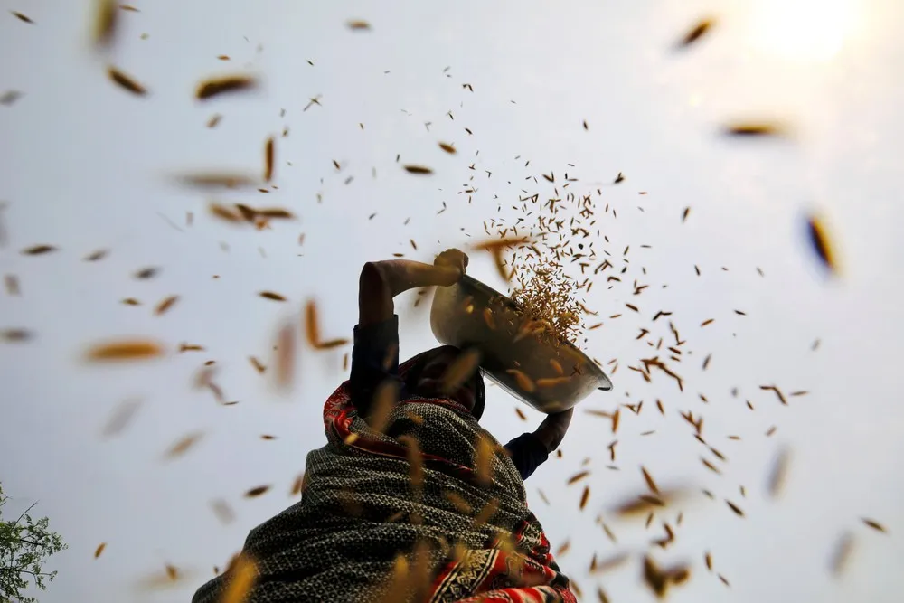 A Look at Life in Bangladesh