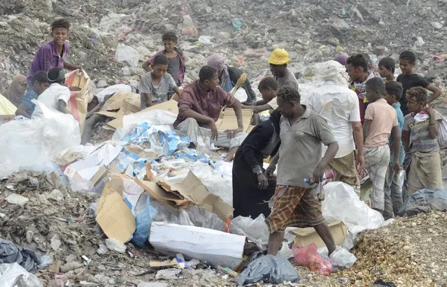 People collect recyclable waste at a rubbish dump outside Yemen's Red Sea port city of Houdieda January 20, 2016. (Photo by Abduljabbar Zeyad/Reuters)