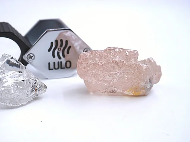 This photo supplied by Lucapa Diamond Company on Wednesday, July 27, 2022, shows the 170 carat pink diamond, right, recovered from Lulo, Angola. A big pink diamond of 170 carats has been discovered in Angola and is claimed to be the largest such gemstone found in 300 years. Called the “Lulo Rose”, the diamond was found at the Lulo alluvial diamond mine. The mine’s owner, the Lucapa Diamond Company, on Wednesday announced the discovery of the large pink diamond on its website. (Photo by Lucapa Diamond Company via AP Photo)