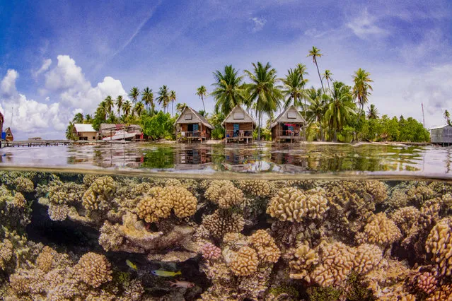 Up and coming category winner. Paradise by Taeyup Kim (South Korea) in South Fakarava, French Polynesia. “Overwater, beautiful resorts and palm trees ... Underwater, nearly 1m depth, colourful hard corals and reef fish. For the first dive here, I was running out of time for preparing ascent. And I request only diving this specific area for the nice split shots. I worked for about 30 minutes. Surface was not that calm because of the boat which made waves. Secondly my posture was really unstable in super shallow depth, surrounding hard corals for lifting my dome and getting right composition”. (Photo by Taeyup Kim/Underwater Photographer of the Year 2019)