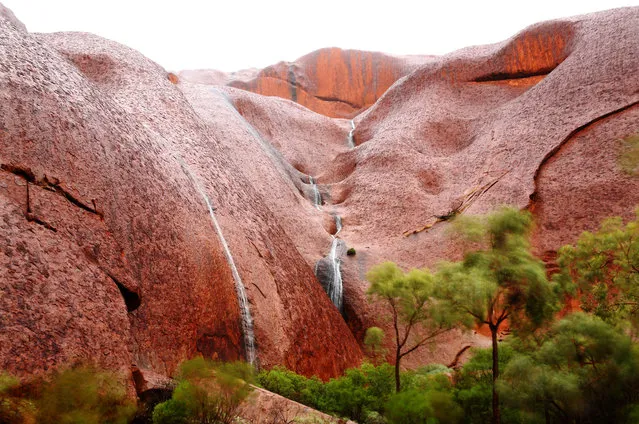 A general view of Uluru is seen as it rains on November 28, 2013 in Uluru-Kata Tjuta National Park, Australia. Uluru/ Ayers Rock is a large sandstone formation situated in central Australia approximately 335km from Alice Springs. The site and its surrounding area is scared to the Anangu people, the Indigenous people of this area and is visited by over 250,000 people each year.  (Photo by Mark Kolbe/Getty Images)