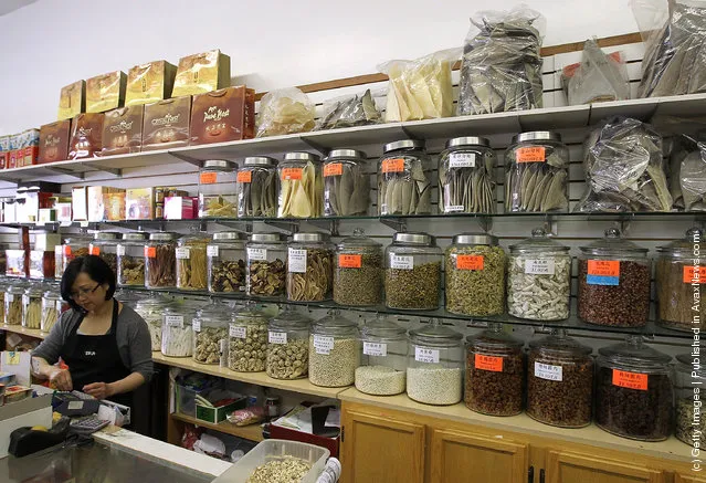 Glass containers filled with shark fins