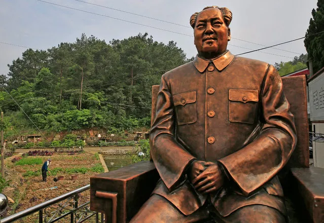 A four-metre tall Mao Zedong statue overlooks a farmland in Shaoshan, Hunan Province in central China, 29 April 2016. (Photo by How Hwee Young/EPA)