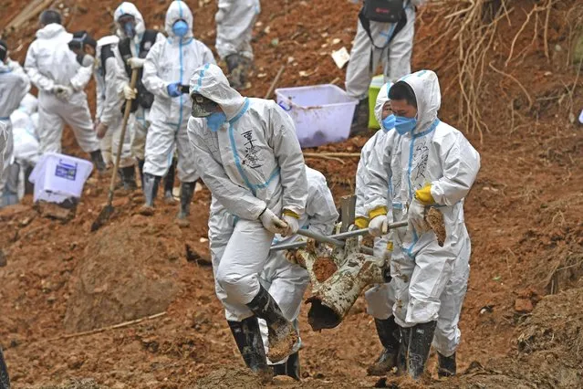 In this photo released by Xinhua News Agency, rescuers carry a piece of plane wreckage at the site of Monday's plane crash in Tengxian County, southern China's Guangxi Zhuang Autonomous Region, Friday, March 25, 2022. Construction excavators dug into the crash site Saturday in the search for wreckage, remains and the second black box from a China Eastern 737-800 that nosedived into a mountainside in southern China this week with 132 people on board. (Photo by Zhou Hua/Xinhua via AP Photo)