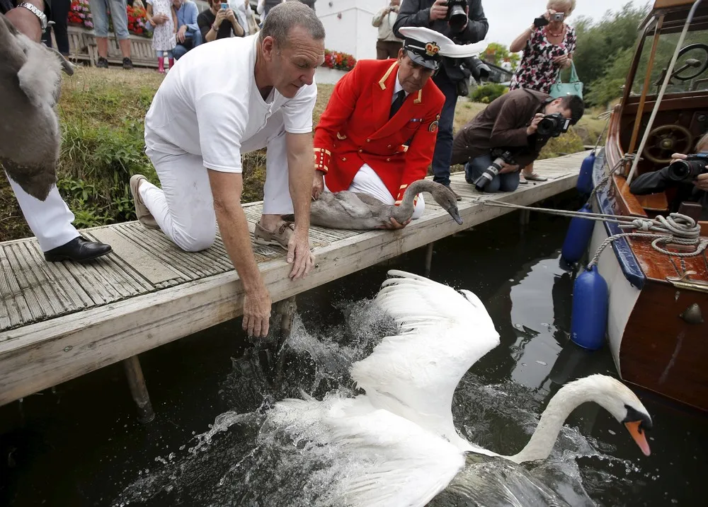 The Day in Photos – July 20, 2015