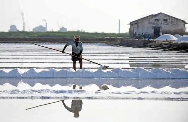 Indian labourer Murugan uses a wooden rake as he works on a salt pan at Thoothukudi some 160 kms south of Madurai on May 14, 2017, where labourers earn an average of Indian Rupees 290 (USD 4.51) per day. (Photo by  Arun Sankar/AFP Photo)