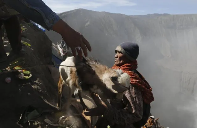 A villager hands a goat to another after managing to catch it from a Hidu worshipper, who attempted to throw it into the crater as an offering, at Mount Bromo during the Kasada Festival in Probolinggo, Indonesia's East Java province, August 1, 2015. (Photo by Reuters/Beawiharta)