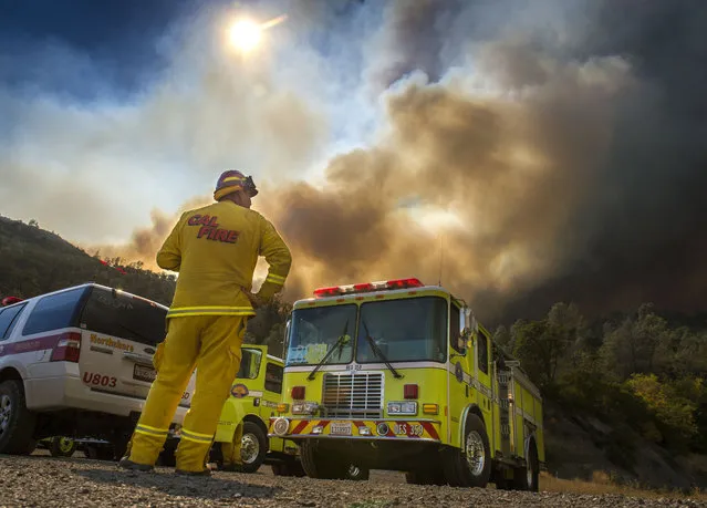 Dave Miinch, fire captain with South Lake County, watches a fire burn on the north side of U.S. Highway 20, Monday, August 3, 2015, in Yolo County, Calif. Cooler weather helped crews build a buffer Monday between a raging Northern California wildfire and some of the thousands of homes it threatened as it tore through drought-withered brush that hadn't burned in years. (Photo by Hector Amezcua/The Sacramento Bee via AP Photo)