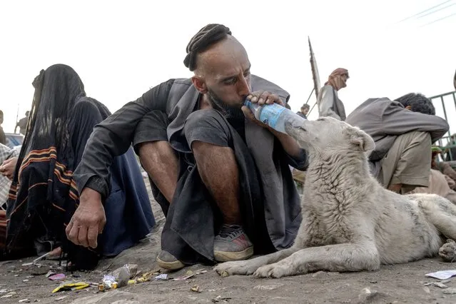 An Afghan drug addict gives heroin to an addicted dog on the edge of a hill in the city of Kabul, Afghanistan,Tuesday, June 7, 2022. Drug addiction has long been a problem in Afghanistan, the world’s biggest producer of opium and heroin. The ranks of the addicted have been fueled by persistent poverty and by decades of war that left few families unscarred. (Photo by Ebrahim Noroozi/AP Photo)