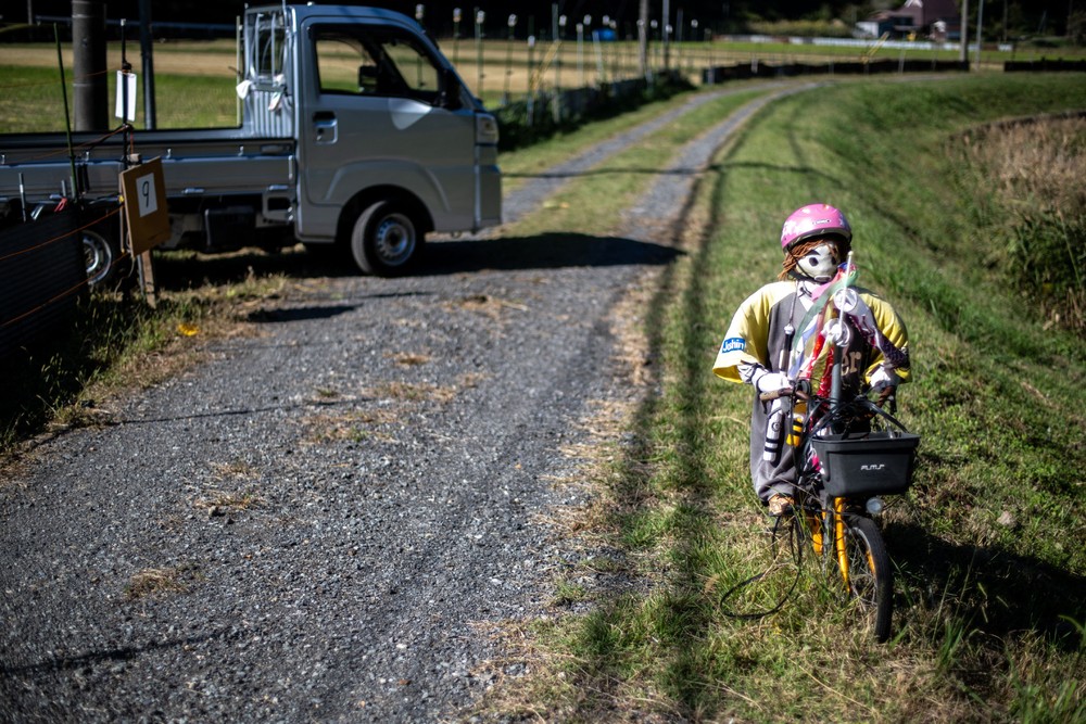 A Look at Life in Japan