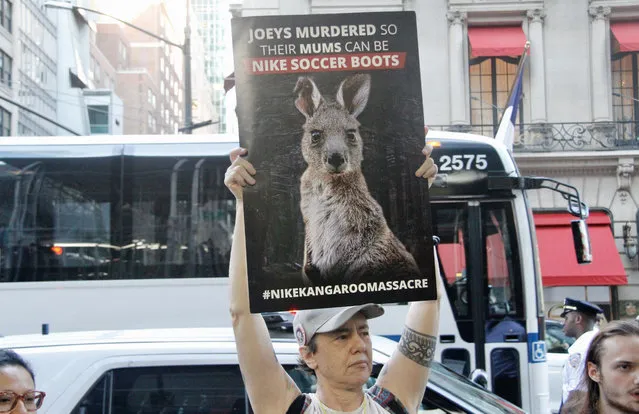 Stop the “Nike Kangaroo Massacre” protest in New York on August 03, 2022. Few protesters gather in front of Nike store on 5th avenue protesting against the killing of Kangaroo mothers and Joeys and the use of their leathers for soccer boots. They say Nike being one of the largest buyers of kangaroo leather, is driving this industry that is pushing kangaroos to the brink of extinction. They demand Nike to set an example and shut it down. (Photo by Niyi Fote/TheNews2/Zuma Press/Rex Features/Shutterstock)