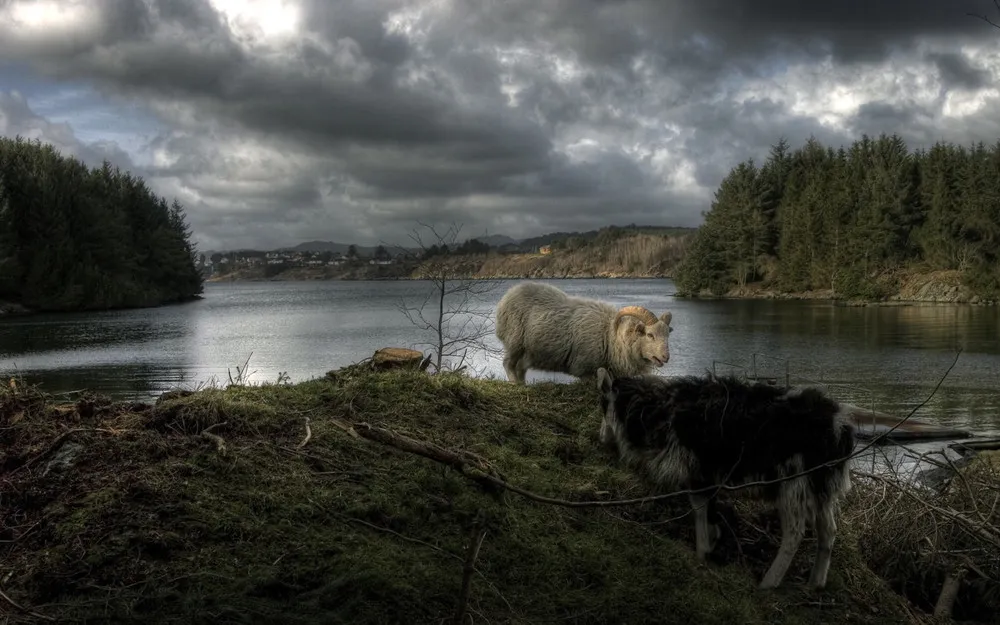 Found on Flickr: Photo Art by Geir Akselsen