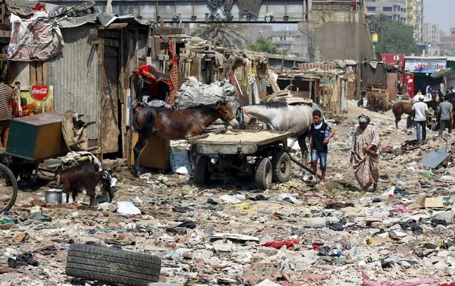 People walk through Eshash el-Sudan slum in the Dokki neighbourhood of Giza, south of Cairo, Egypt September 2, 2015. Residents of the slum clashed with police in late August, when about 50 ramshackle huts were destroyed and at least 20 people were injured by teargas, local media reported, as authorities attempt to clear the area and rehouse residents. (Photo by Amr Abdallah Dalsh/Reuters)