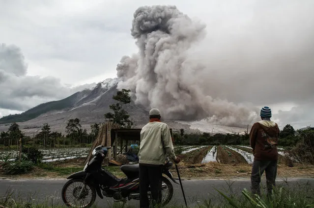 Indonesian villagers watch an eruption of Mount Sinabung volcano in Karo, North Sumatra on November 24, 2017. Sinabung roared back to life in 2010 for the first time in 400 years. After another period of inactivity it erupted once more in 2013, and has remained highly active since. (Photo by Ivan Damanik/AFP Photo)