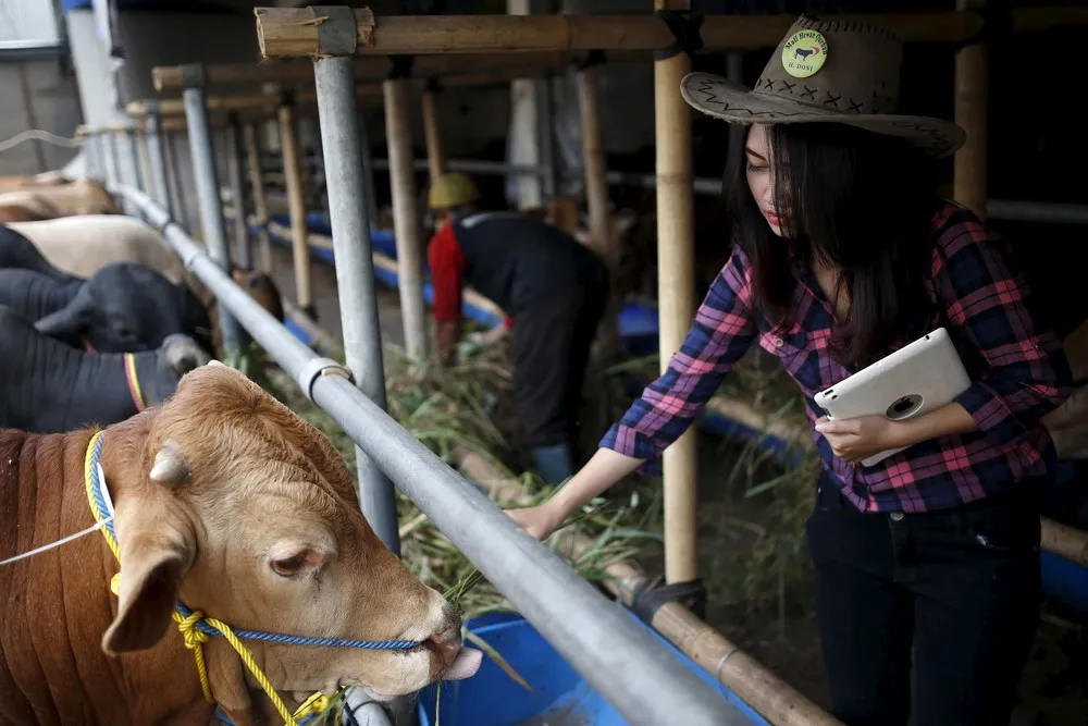 The Day in Photos – September 11, 2015