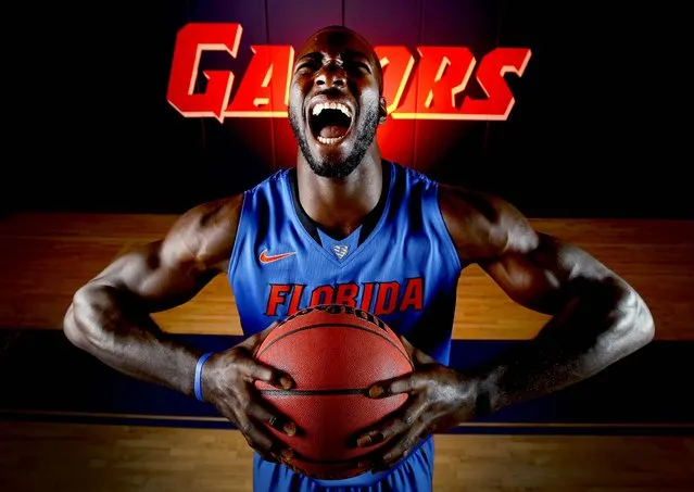Florida center Patric Young poses for a photo during UF's basketball media day in Gainesville, on October 10, 2012. (Photo by Matt Stamey/The Gainesville Sun)