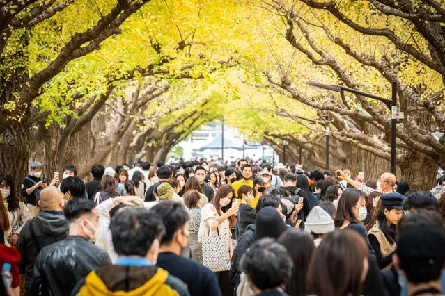 People walk past trees in autumn foliage in Tokyo on November 13, 2022. (Photo by Yuichi Yamazaki/AFP Photo)