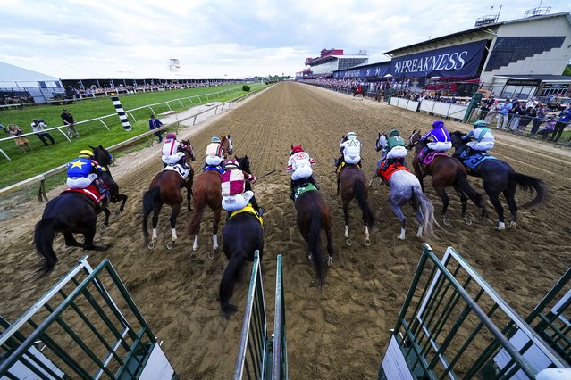 Jockeys compete during the 150th running of the Preakness Stakes horse race Saturday, May 17, 2025, at Pimlico Race Course in Baltimore. (Photo by Julia Demaree Nikhinson/AP Photo)