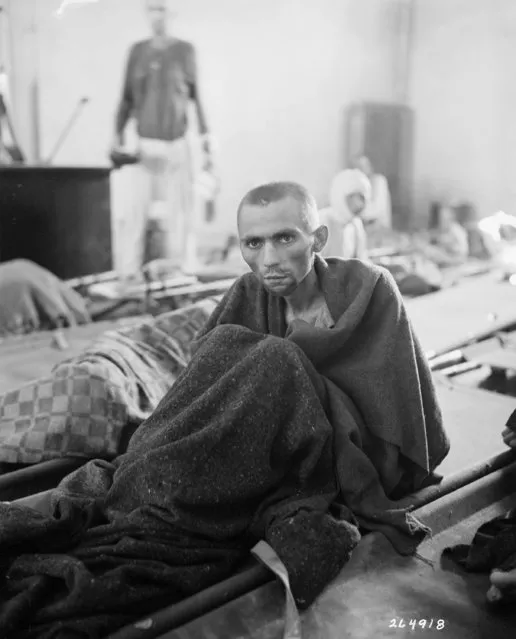 “Starving inmate of Camp Gusen, Austria". May 12, 1945. (Photo by Sam Gilbert)
