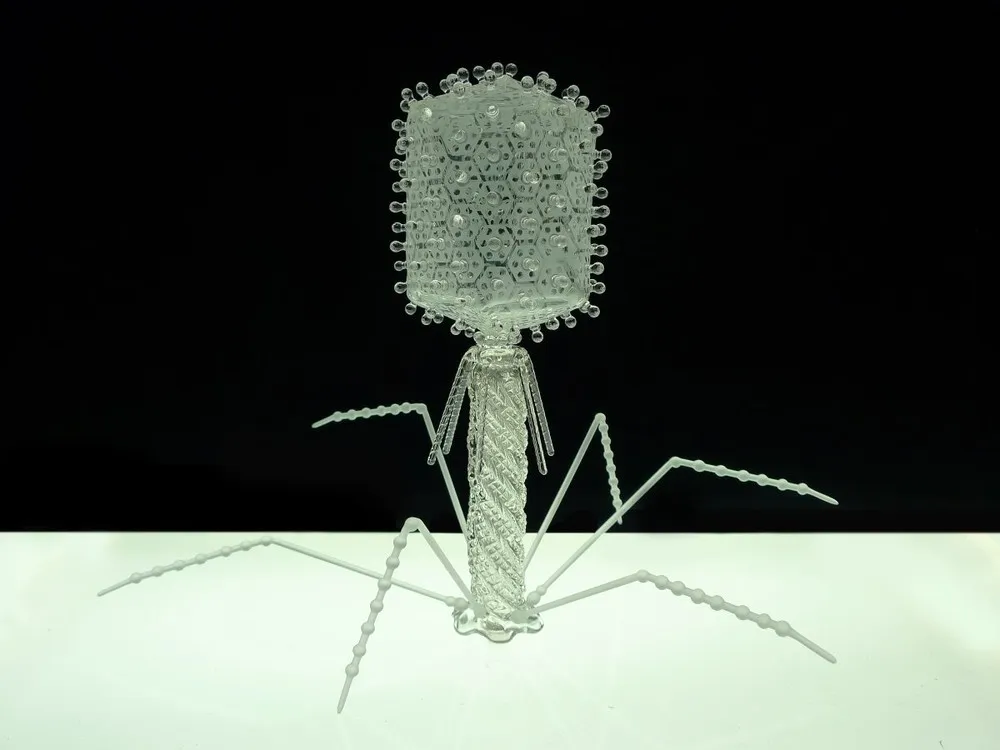 Luke Jerram’s Glass Microbiology Sculptures