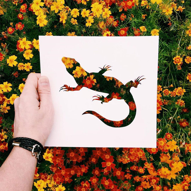 Nature Animal Paper Silhouettes By Nikolai Tolstyh