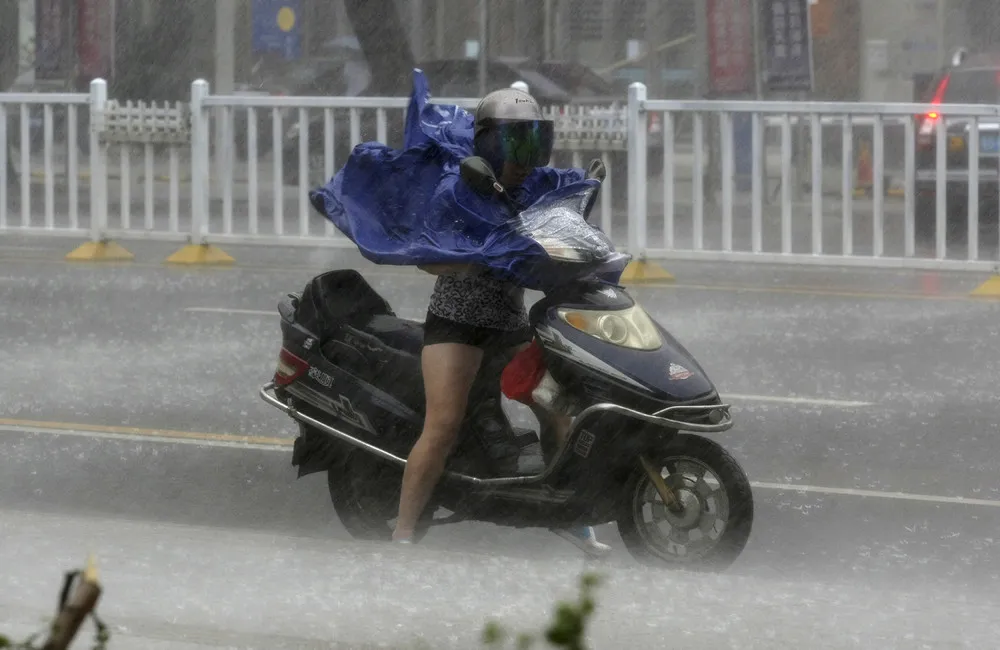 Human vs. Typhoon
