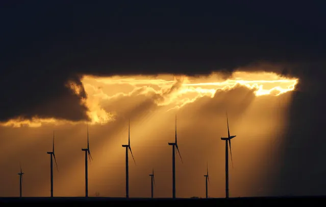 Power-generating windmill turbines are seen during sunset at a wind park near Reims, France, November 13, 2017. (Photo by Christian Hartmann/Reuters)